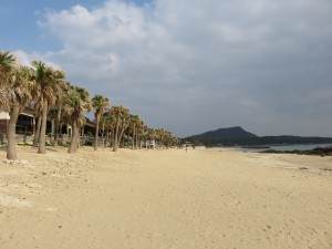 ばしゃ山村２