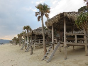 IMG_0494