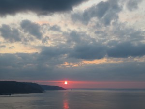 IMG_0533