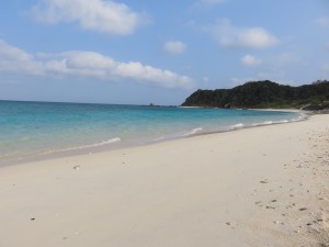 IMG_0569
