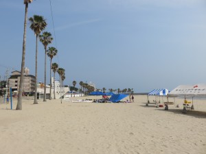 IMG_0973