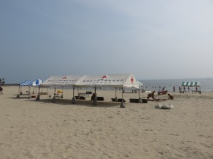 IMG_0974