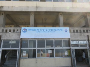IMG_0982