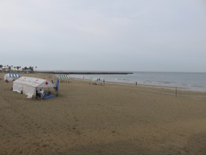 IMG_1033