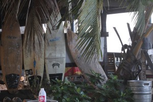 IMG_8319-2015-05-27-600x400
