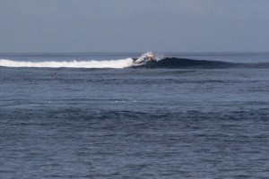 IMG_8328-2015-05-27-600x400
