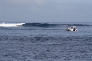IMG_8340-2015-05-27-600x400