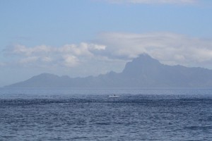 IMG_8344-2015-05-27-600x400