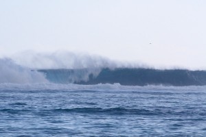 IMG_8452-2015-05-29-600x400