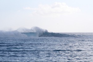 IMG_8465-2015-05-29-600x400