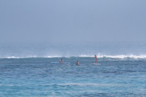 IMG_8486-2015-05-30-600x400