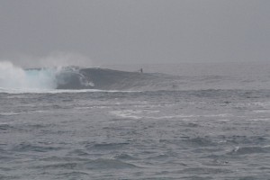 IMG_8613-2015-05-30-600x400
