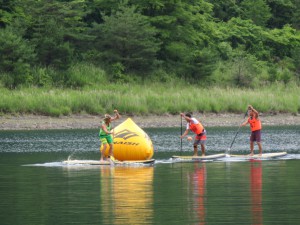 IMG_1264