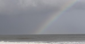 IMG_9997-800x415