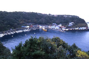 habunominato