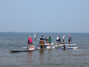 IMG_1431