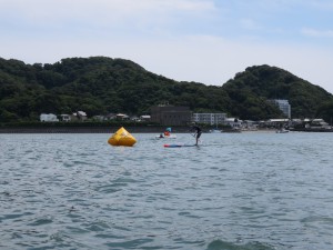IMG_1778