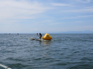 IMG_1782