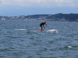 IMG_1812