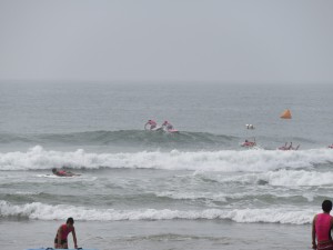 IMG_2481