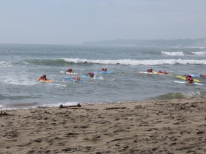 IMG_2491