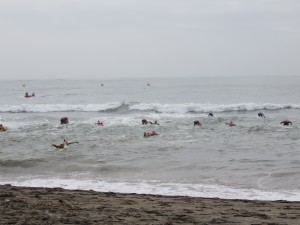 IMG_2496