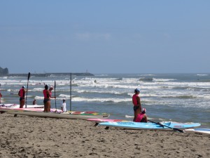 IMG_2539