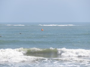 IMG_2541
