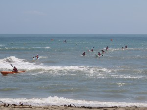 IMG_2554