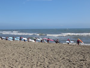 IMG_2595