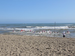 IMG_2597