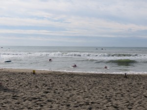 IMG_2612