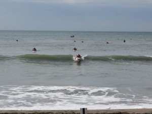 IMG_2613