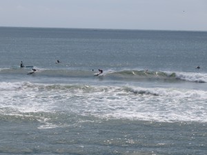 IMG_2812