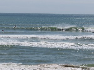 IMG_2831