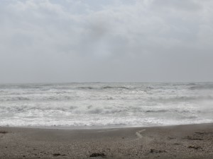IMG_4307
